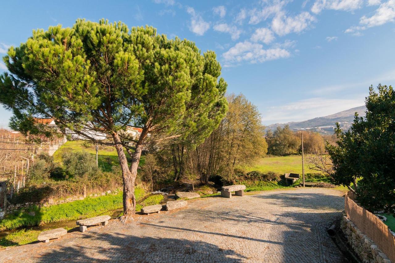 Casa Do Loureiro 1 - Seia - Serra Da Estrela Ngoại thất bức ảnh