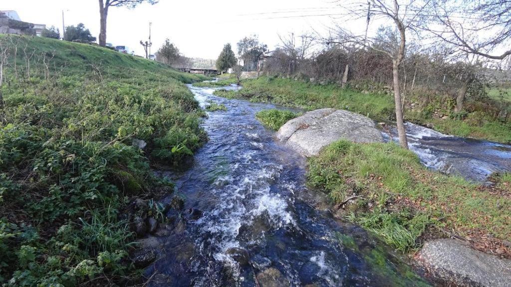 Casa Do Loureiro 1 - Seia - Serra Da Estrela Ngoại thất bức ảnh